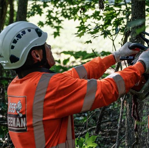 charles county tree service