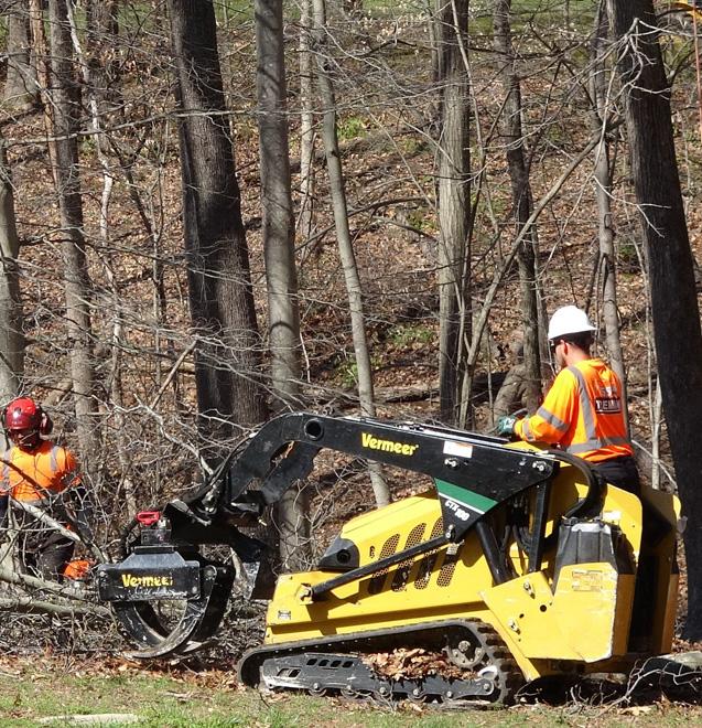 stump grinding equipment