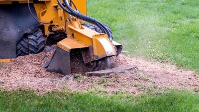 Tree Stump Grinding