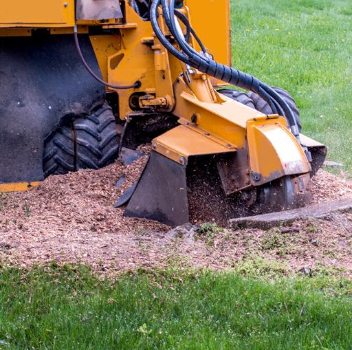 Stump Grinding