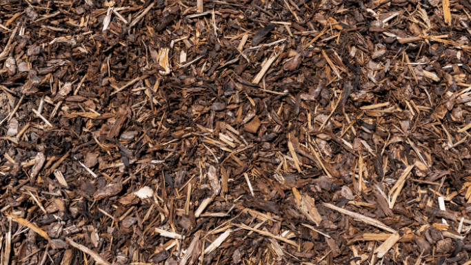 organic mulch