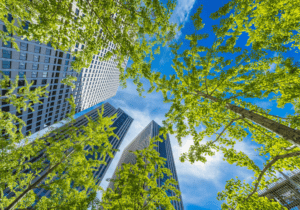855TREEMAN - Trees and Skyscrapers -Urban Biodiversity Blog