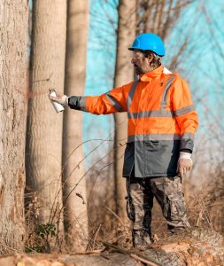 Tree Removal Financing